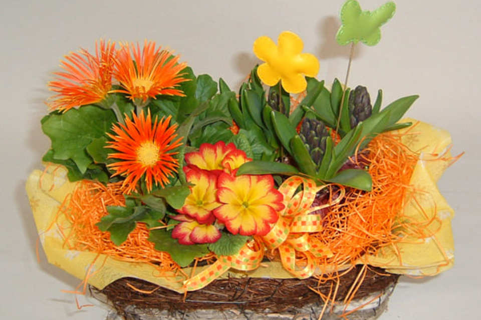 観葉植物の画像