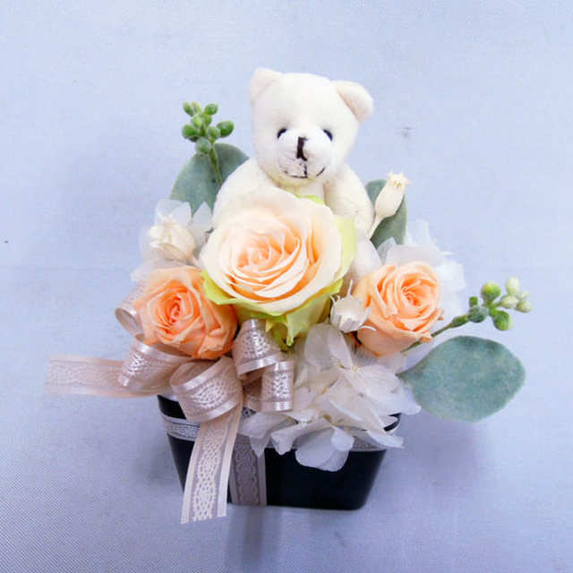 ブリザードフラワーの画像