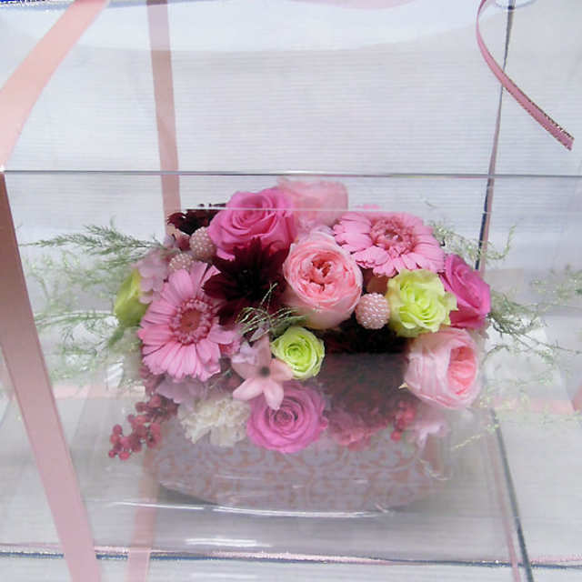 ブリザードフラワーの画像