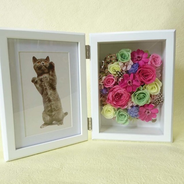 プリザーブドフラワーの画像